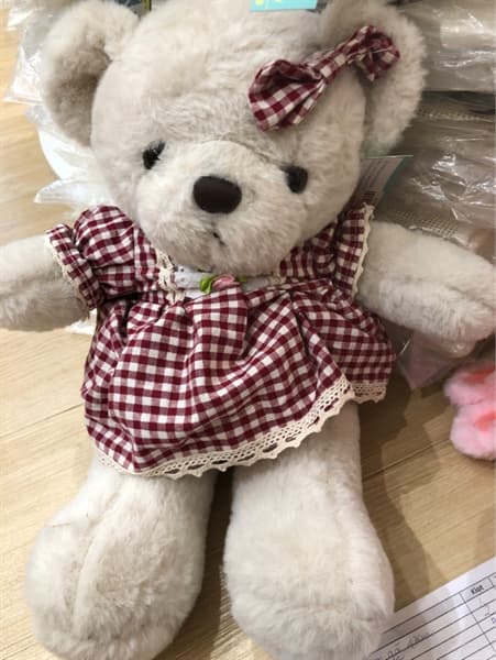 Gấu Teddy nhỏ
