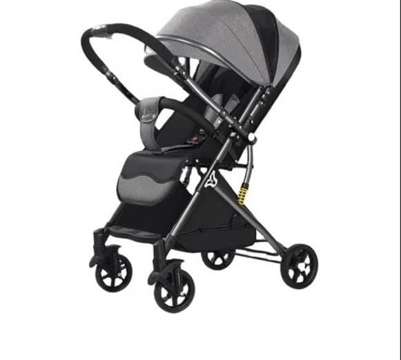 Xe đẩy 2 chiều V6-2 màu xám