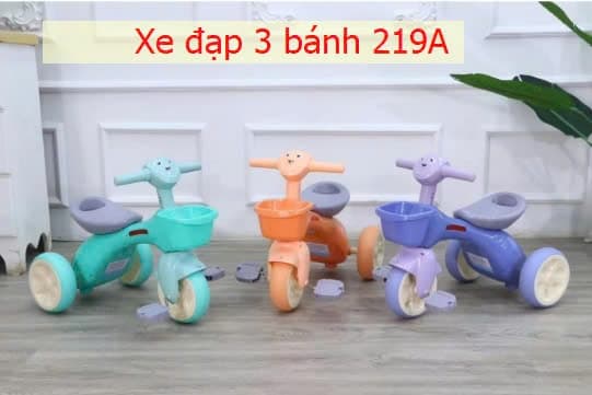 Xe đạp 3 bánh 219A