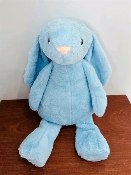 HN Sample - Gấu Bông Teddy