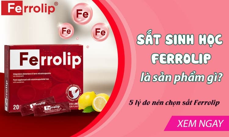 Bổ sung Sắt Ferrolip ( hộp 20 gói x 1.8g)