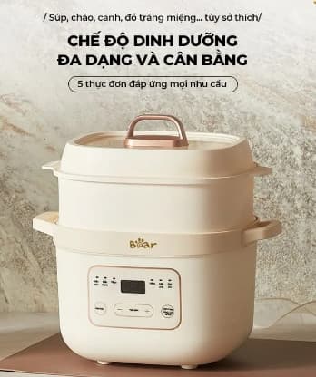 Nồi nấu chậm Bear SB-NNC16 Mẫu mới