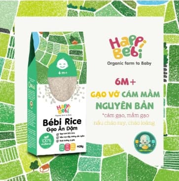 Gạo vỡ cám mầm hữu cơ Bebi Rice 400g 6M+