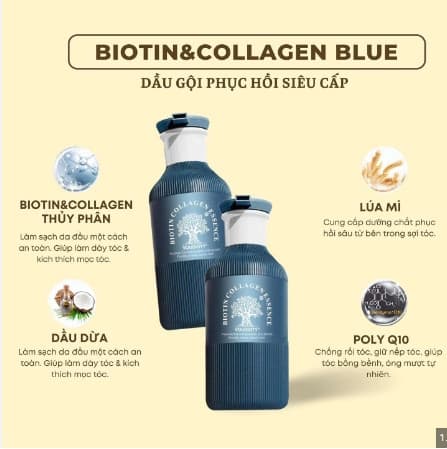 Cặp Dầu gội xả Biotin & Collagen màu xanh đậm óng ánh 2023 - 500ml