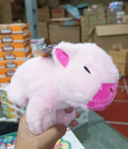 CAPYBARA ĐẬP TAY HỒNG