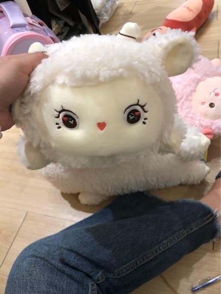 Product Cover