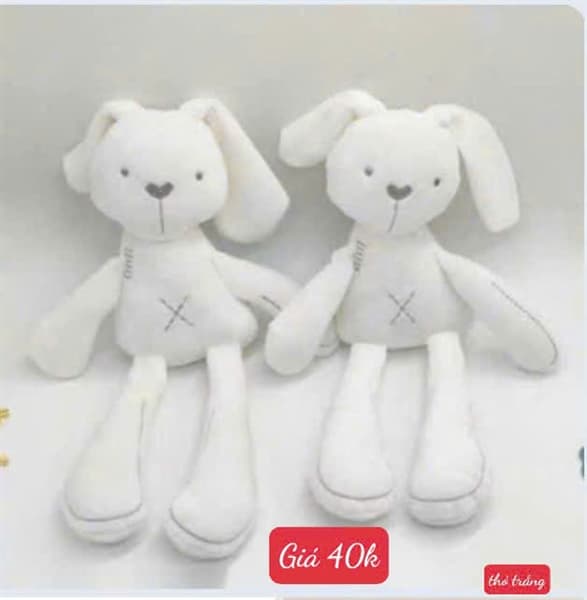Product Cover
