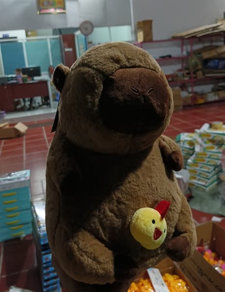 GẤU BÔNG CAPYBARA KÉO CON GÀ 35CM